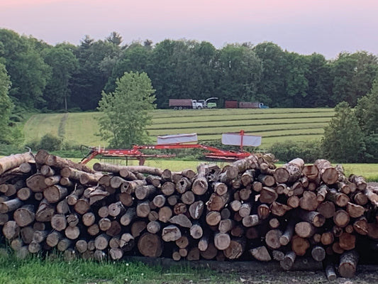 Bulk Air Seasoned Hardwood Firewood - Full Cord - Delivered
