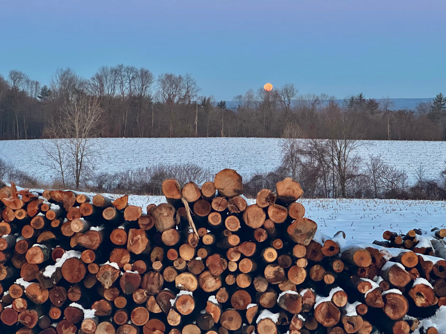 Bulk Unseasoned - Green - Hardwood Firewood - Full Cord - Delivered