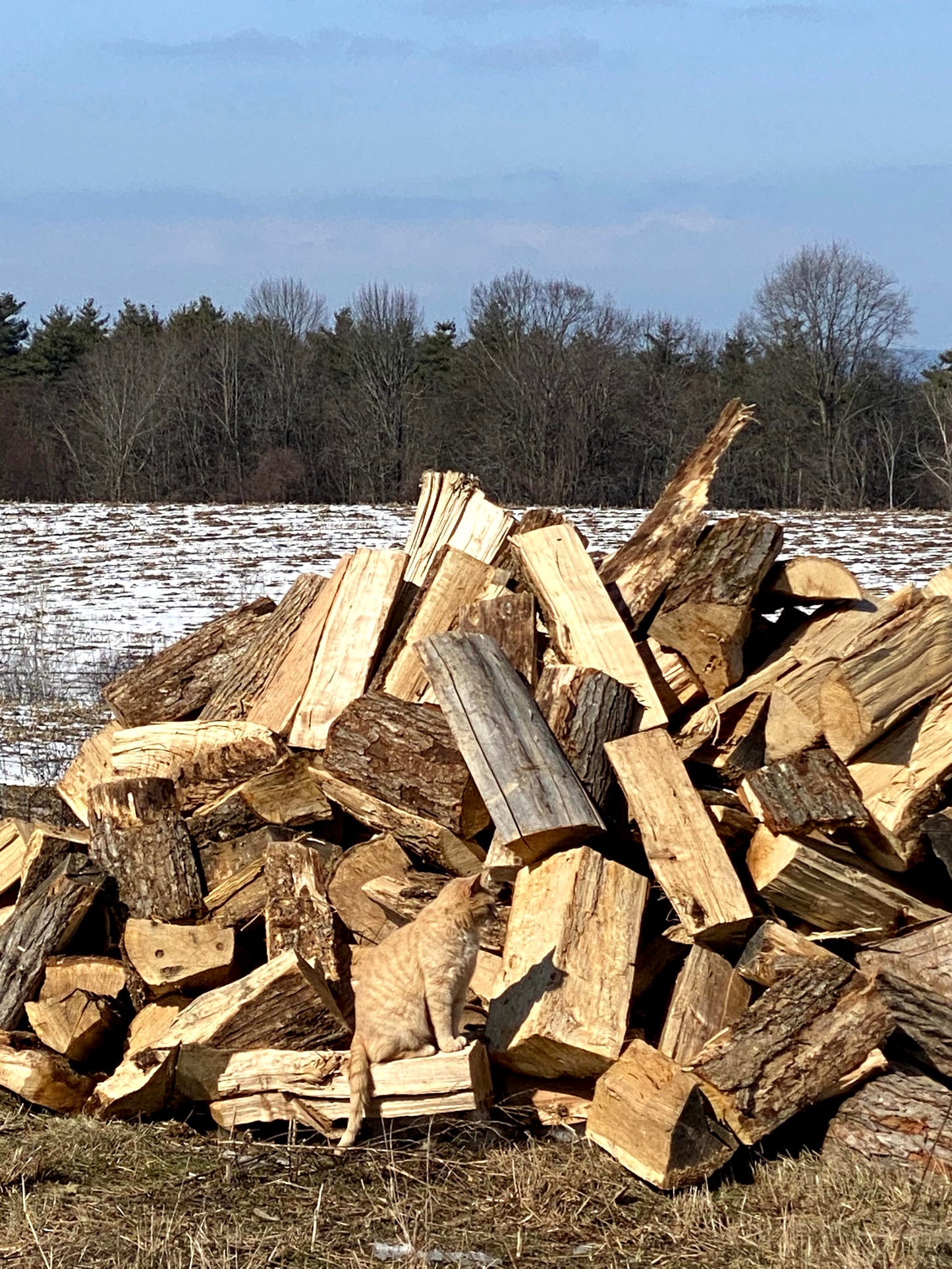 Bulk Unseasoned - Green - Hardwood Firewood - Full Cord - Delivered